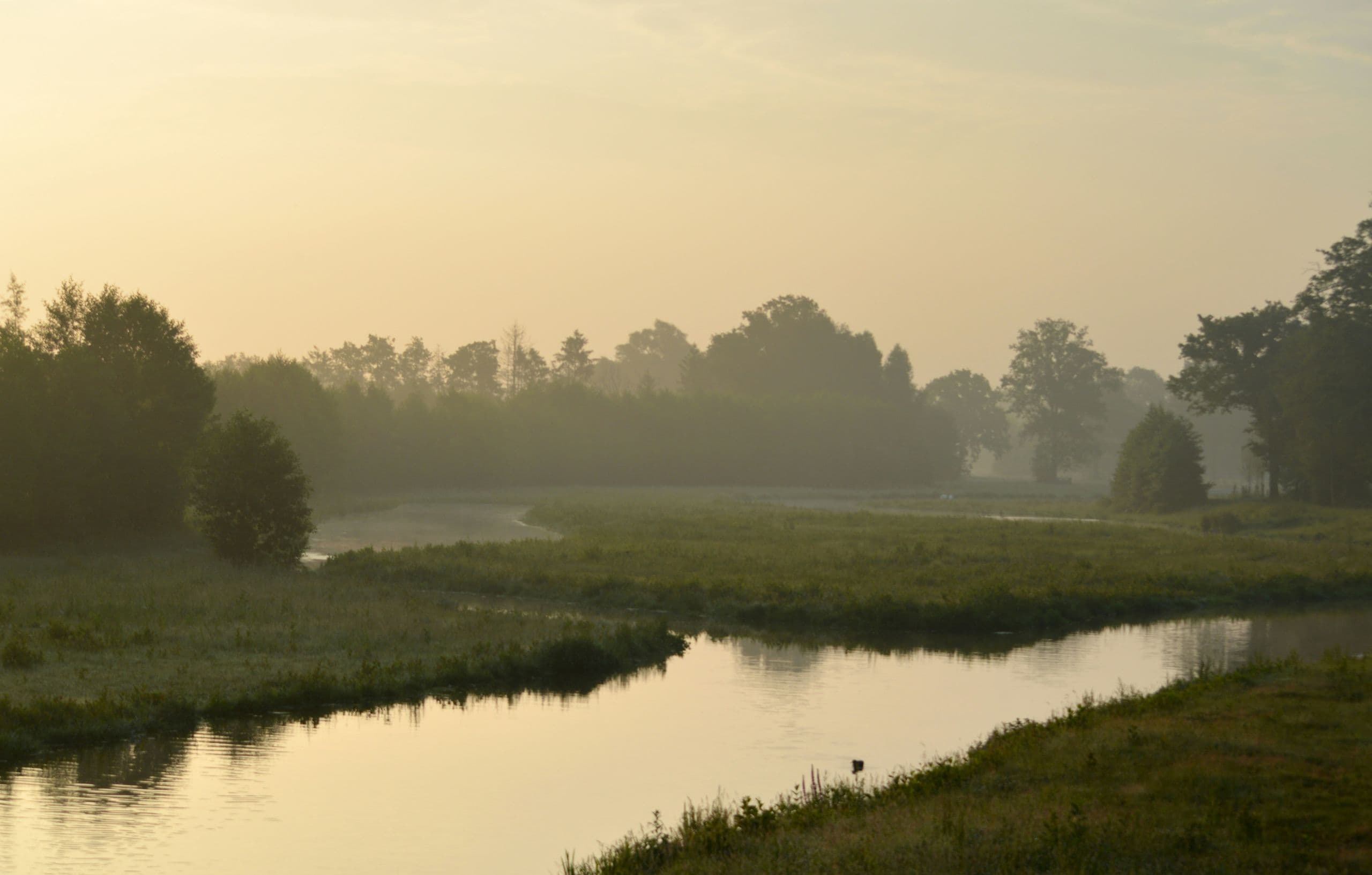 Erik Van Dijk Nlnwi2be8nc Unsplash