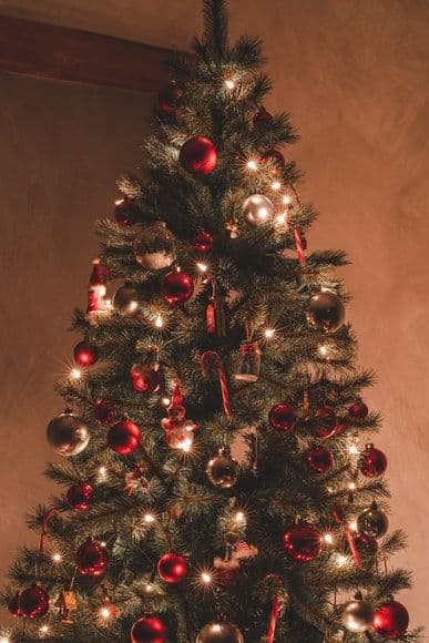 Kerstboom (1)