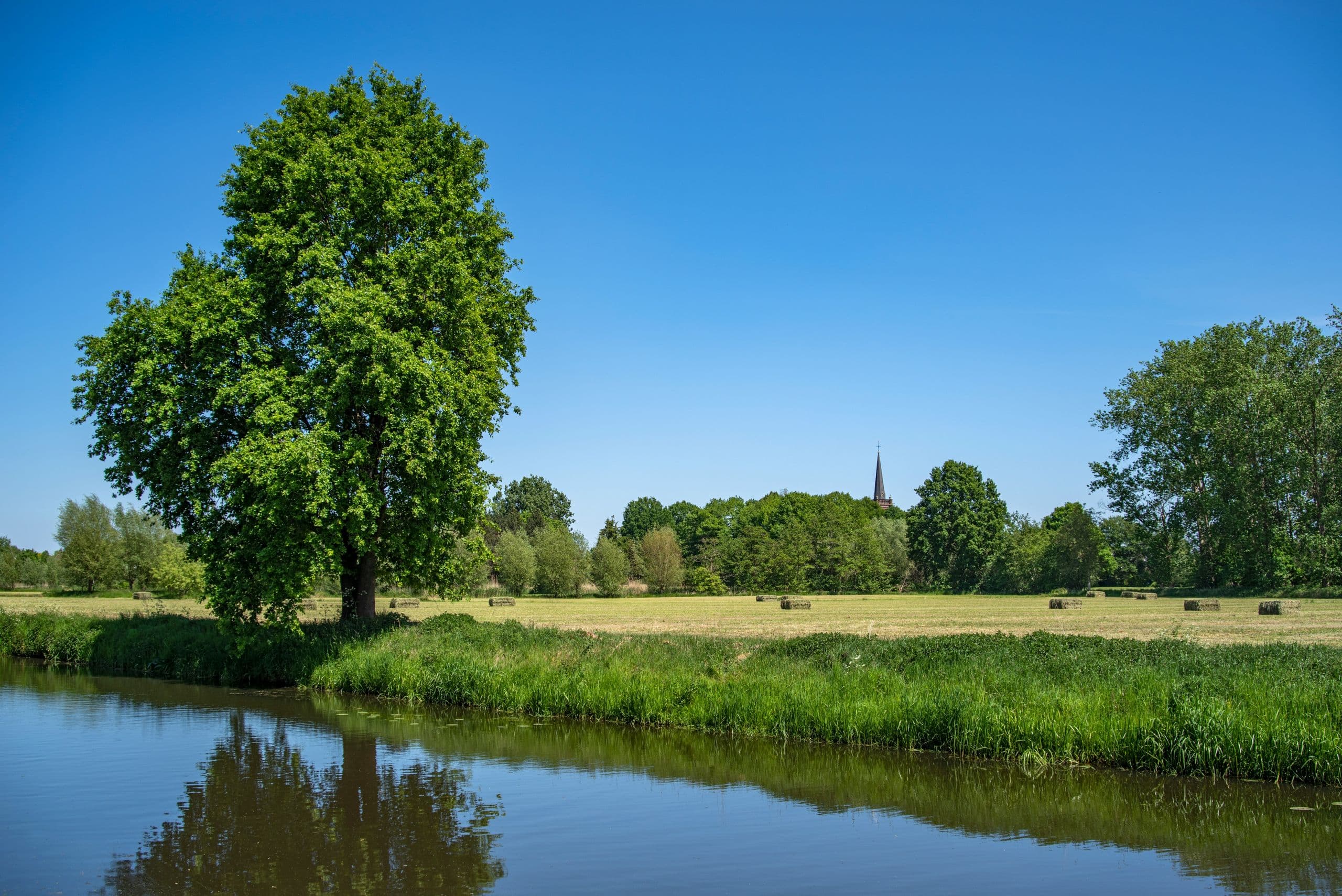 Lucas Van Oort Zsf5lnkfkmi Unsplash