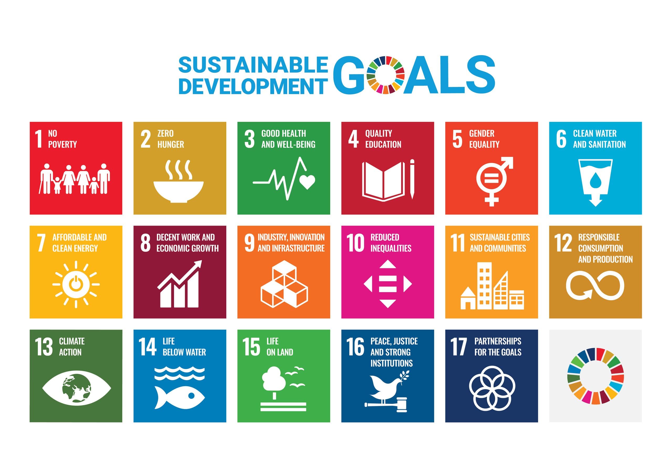 Sustainable Development Goals VN Zonder VN Logo
