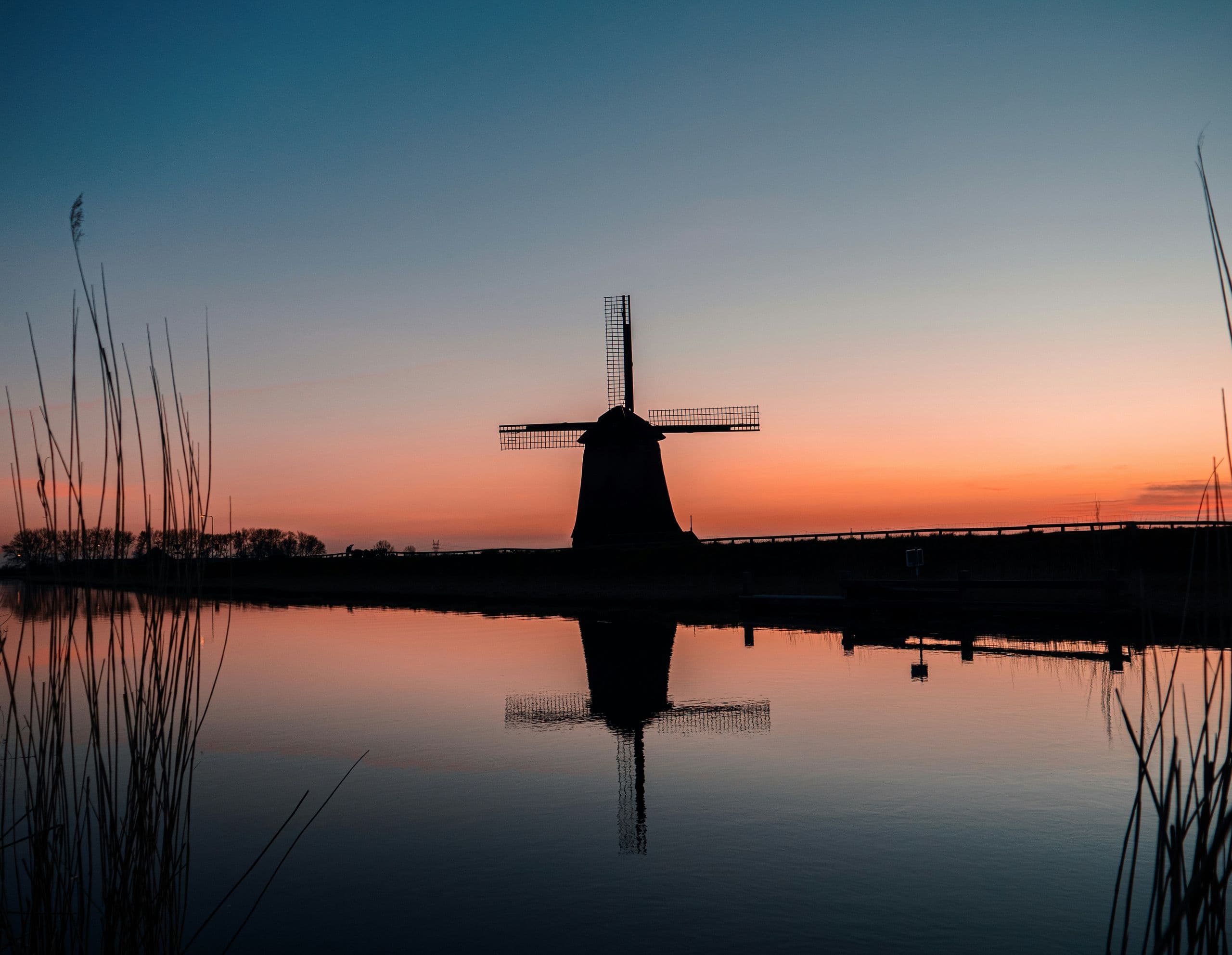 Tim Roosjen A Ik1znysfk Unsplash