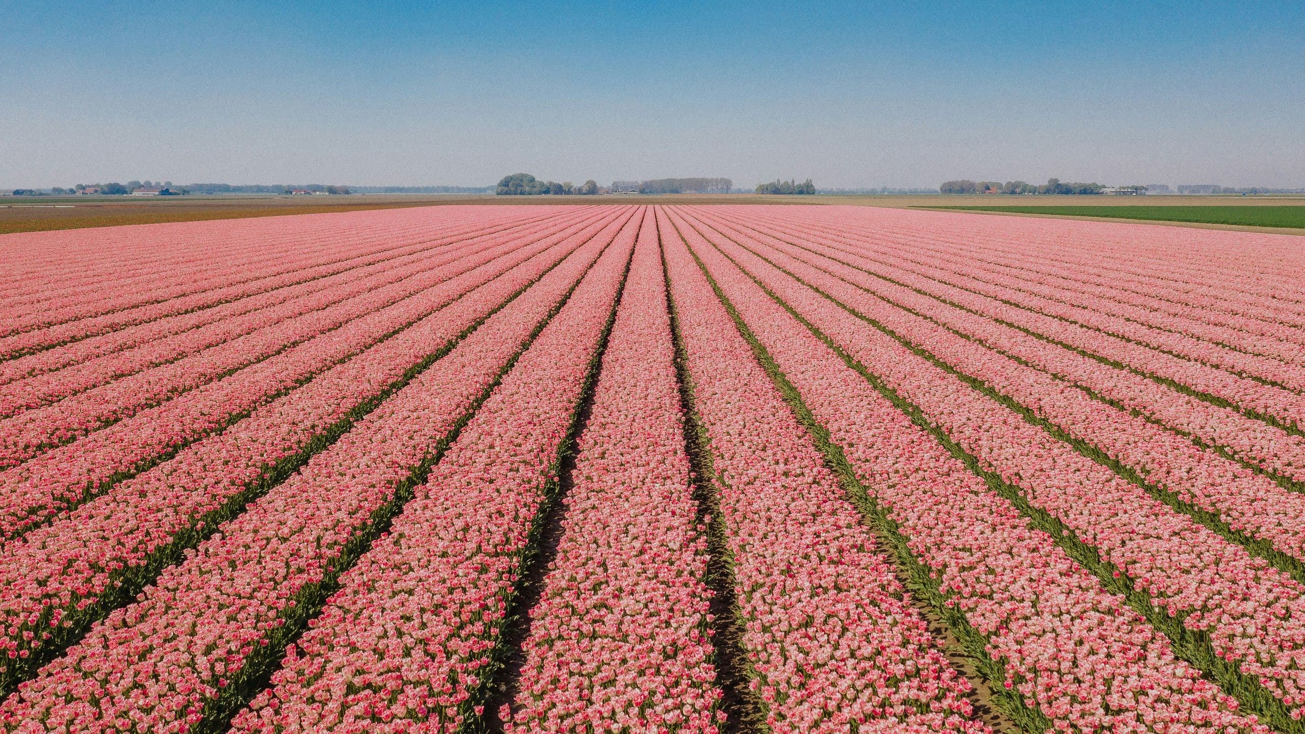 Tom Robak 7W4jnjpxq5w Unsplash