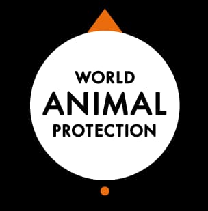 World Animal Protection