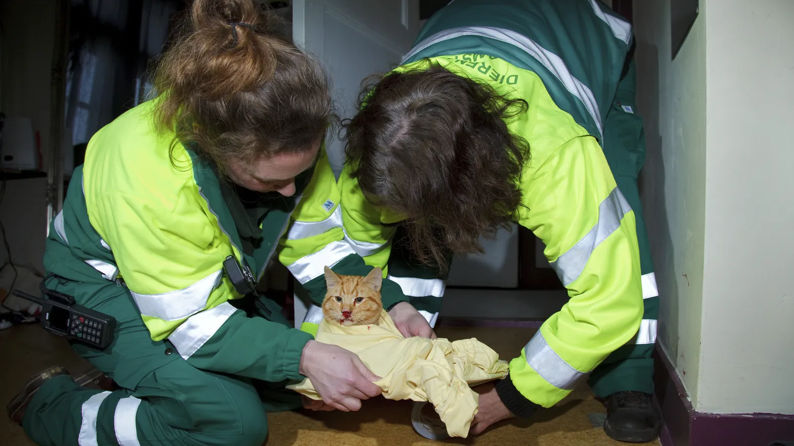 Dierenambulance Amsterdam