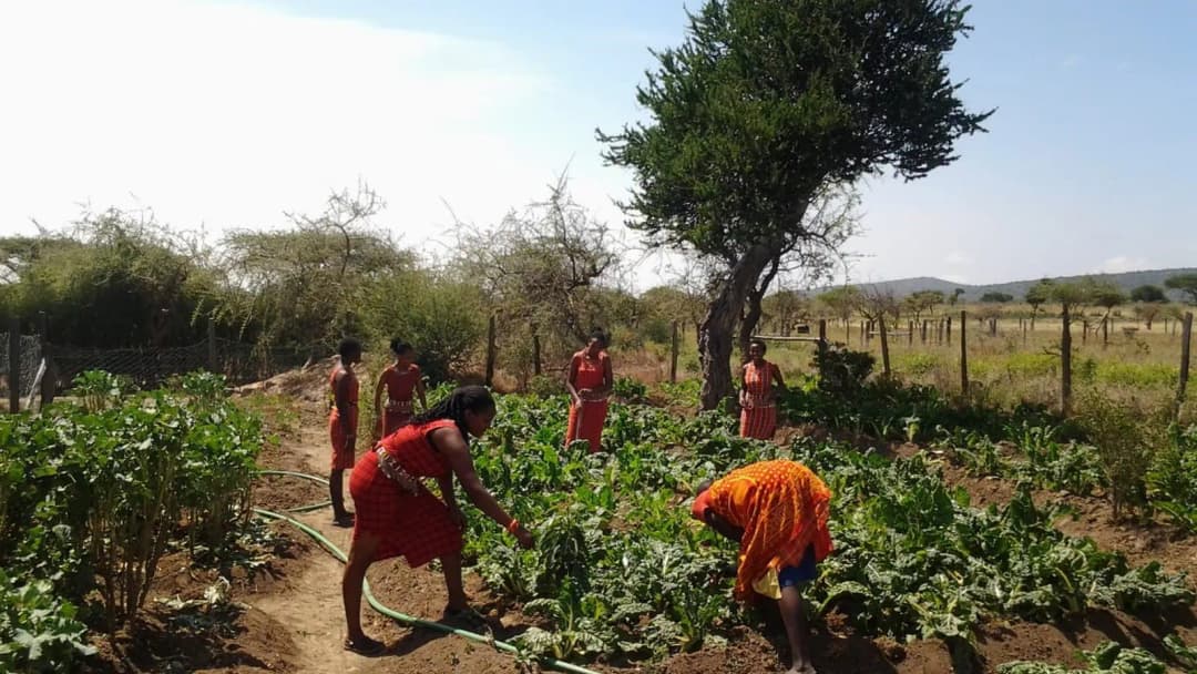 Stichting Friends of the Maasai-actionPhoto