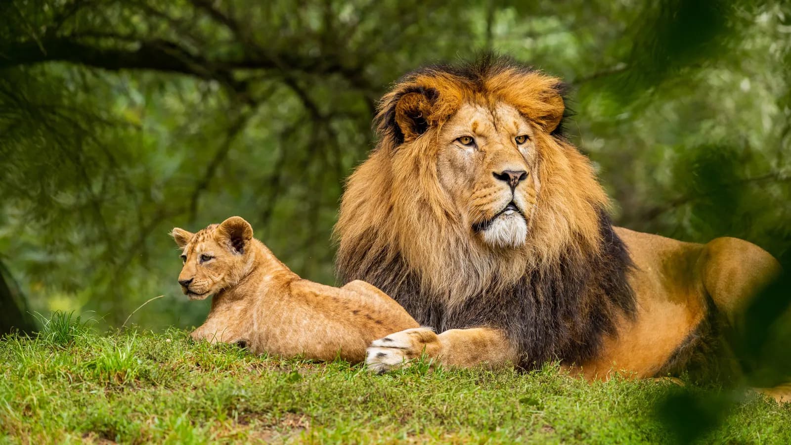 International Union for Conservation of Nature NL