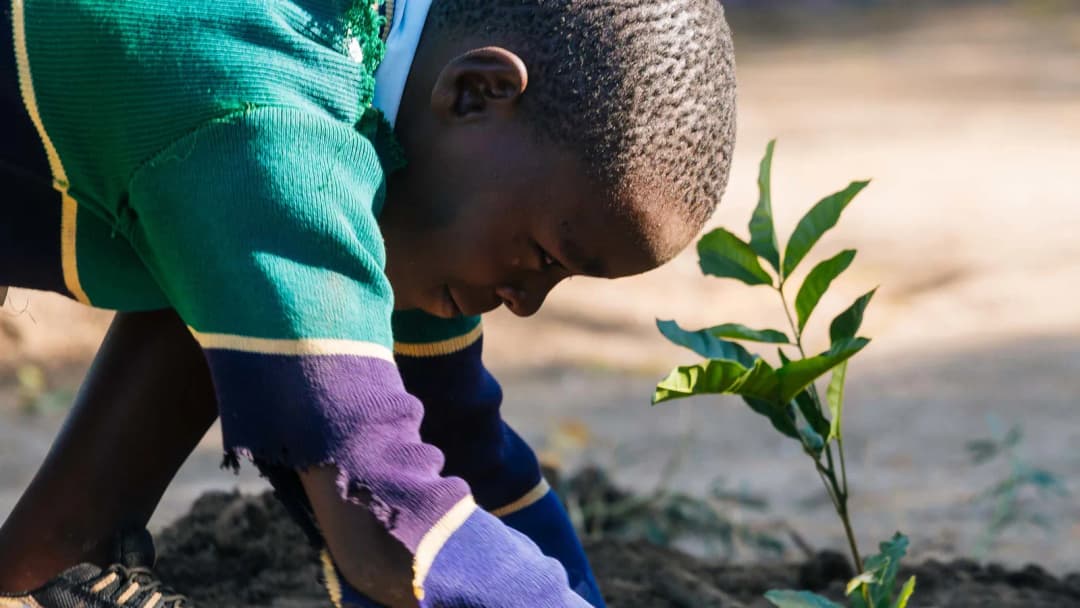 Greenmanjaro Foundation-actionPhoto (1)