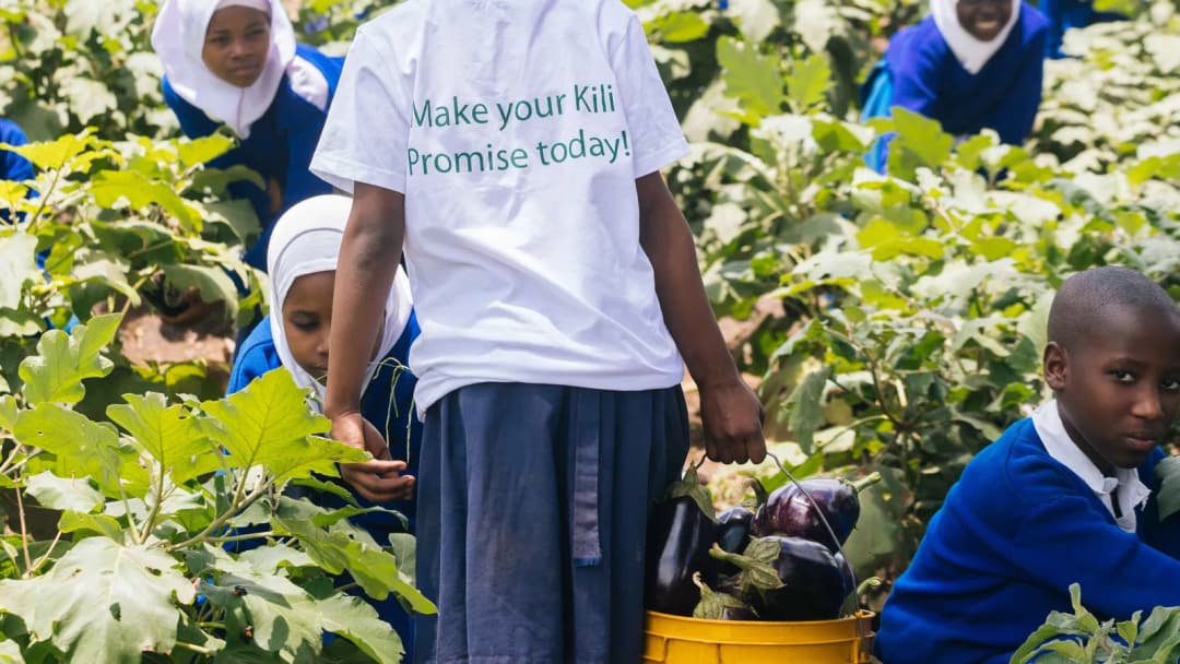 Greenmanjaro Foundation-actionPhoto