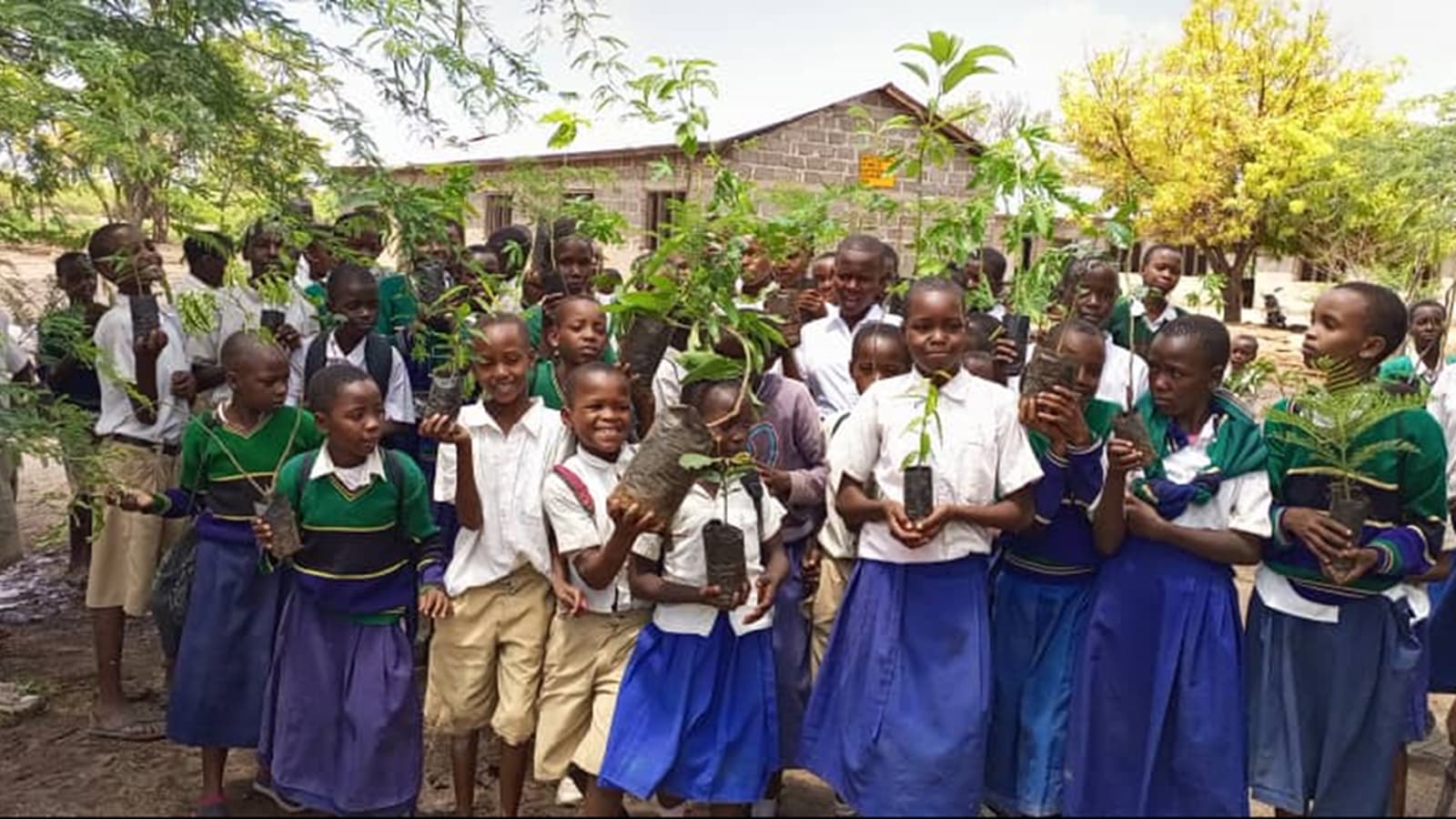 Greenmanjaro Foundation