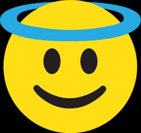 The Happy Activist