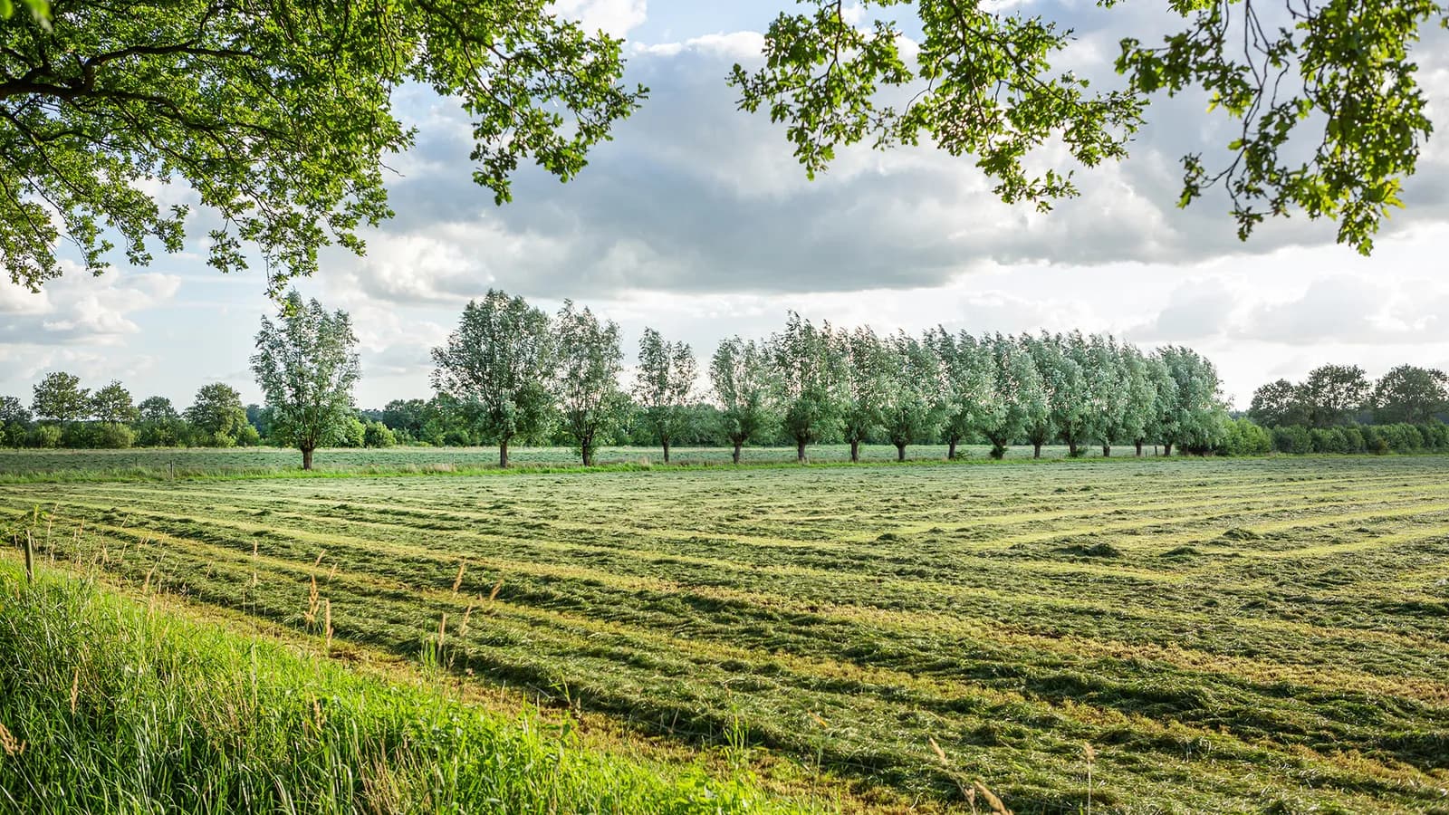 LandschappenNL