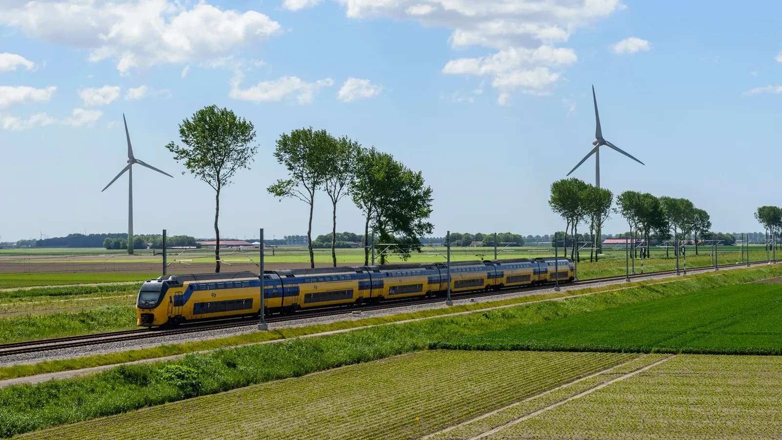 Stichting Natuur en Milieu