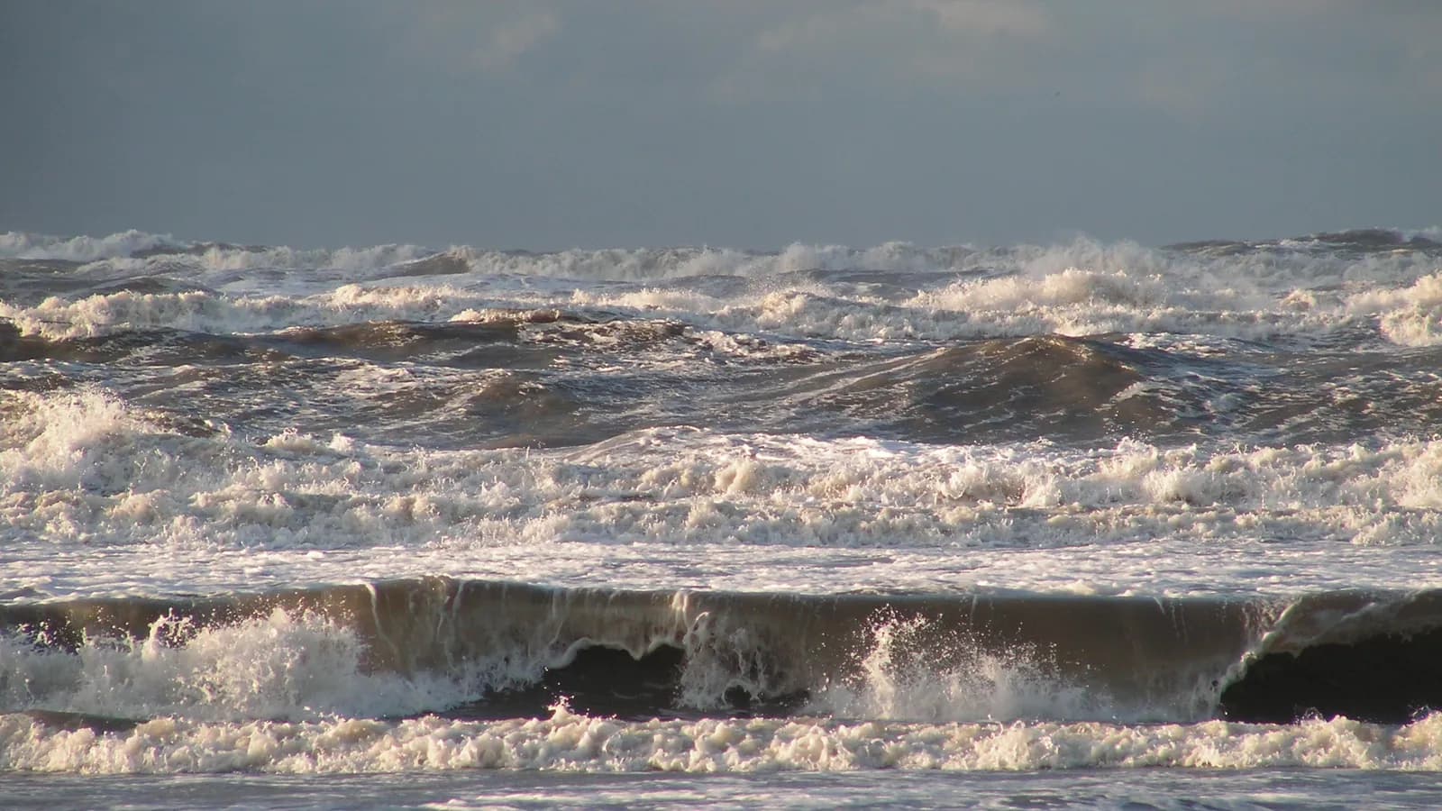 Stichting De Noordzee