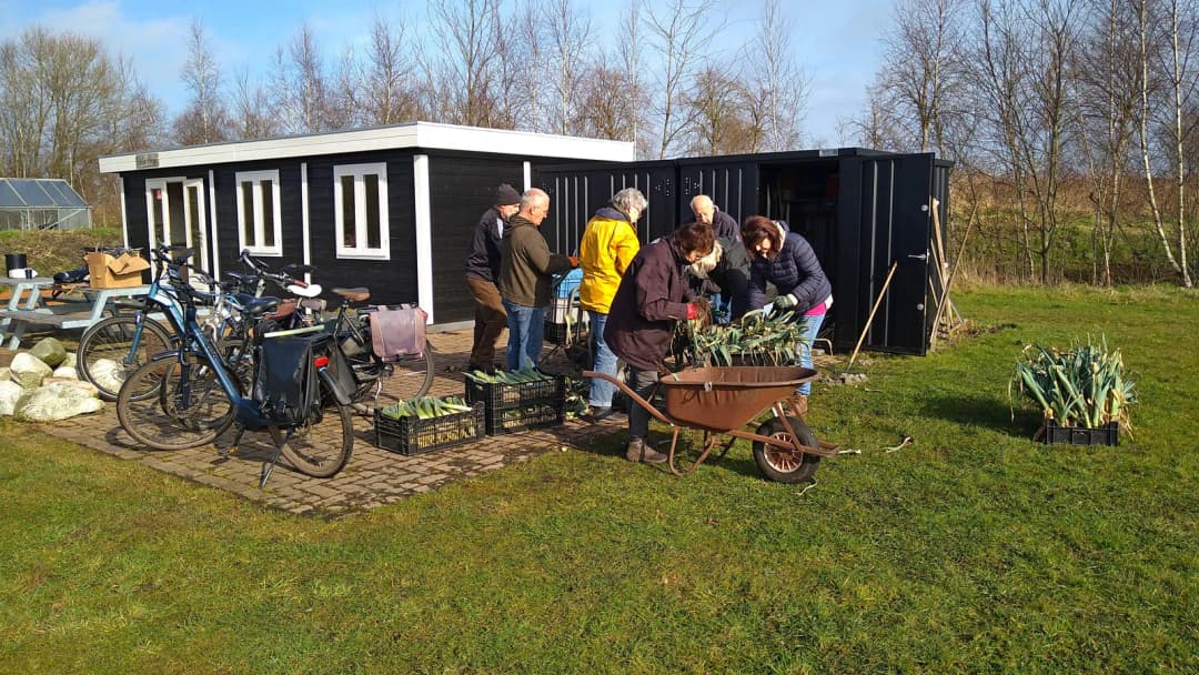Stichting Voedseltuin Emmen-actionPhoto_2025-02-26 prei oogsten.jpg (1)