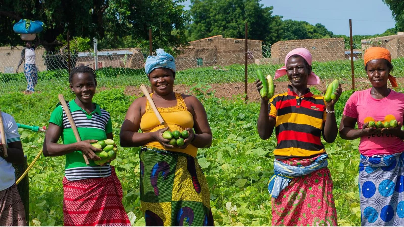 The Hunger Project