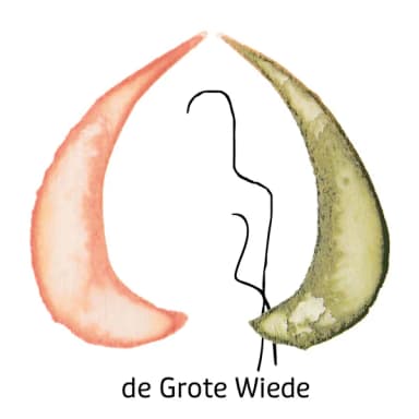 De Grote Wiede