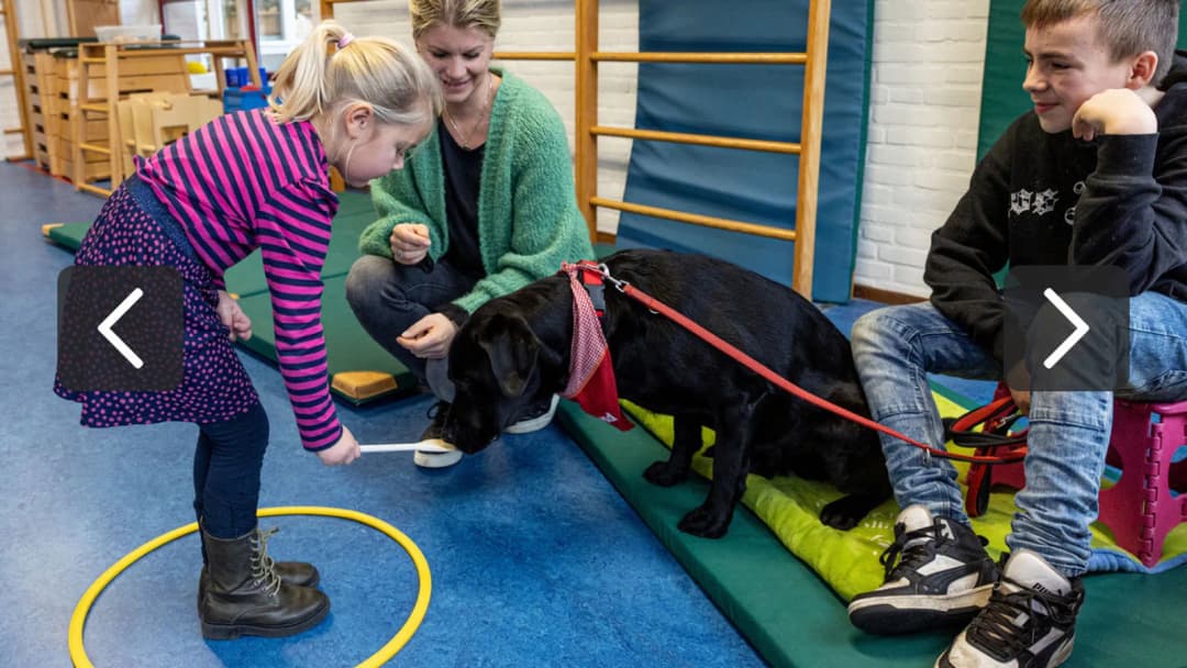 Stichting AAI-maatje-actionPhoto (2)