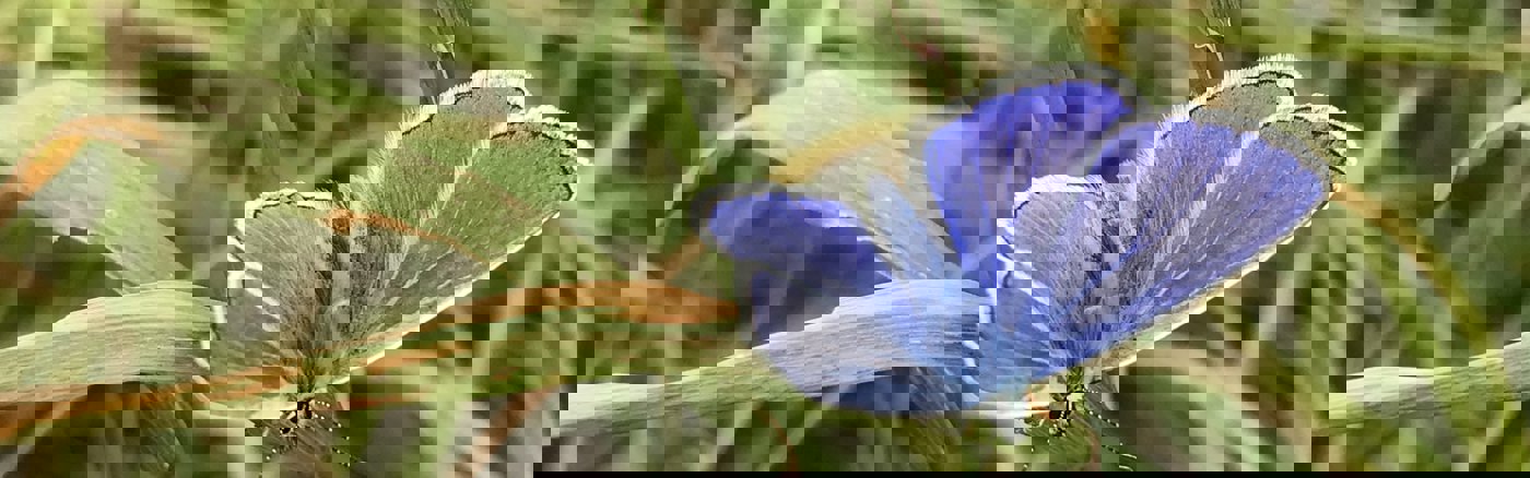 Video toffe activiteiten in de natuur