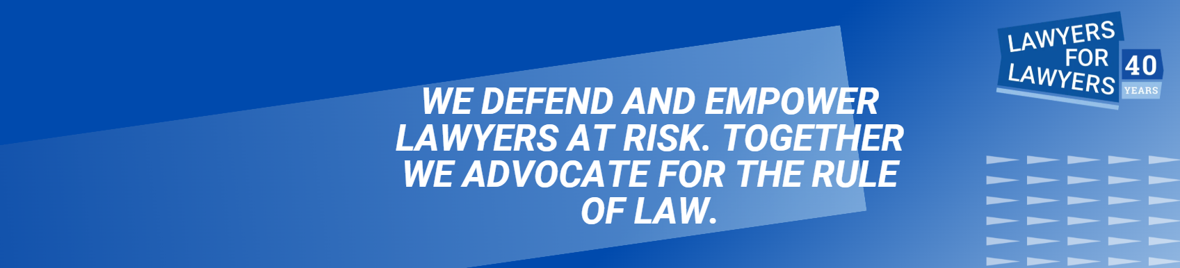 Illustraties voor Women Lawyers Campaign