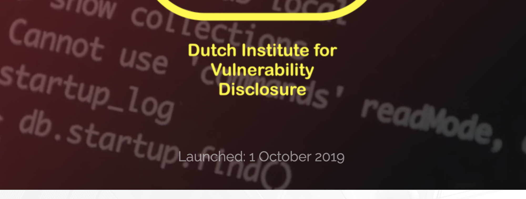 Dutch Institute for Vulnerability Disclosure-photo
