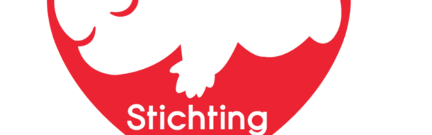 Creatief campagne concept