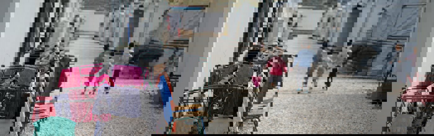 Advies over Social Media