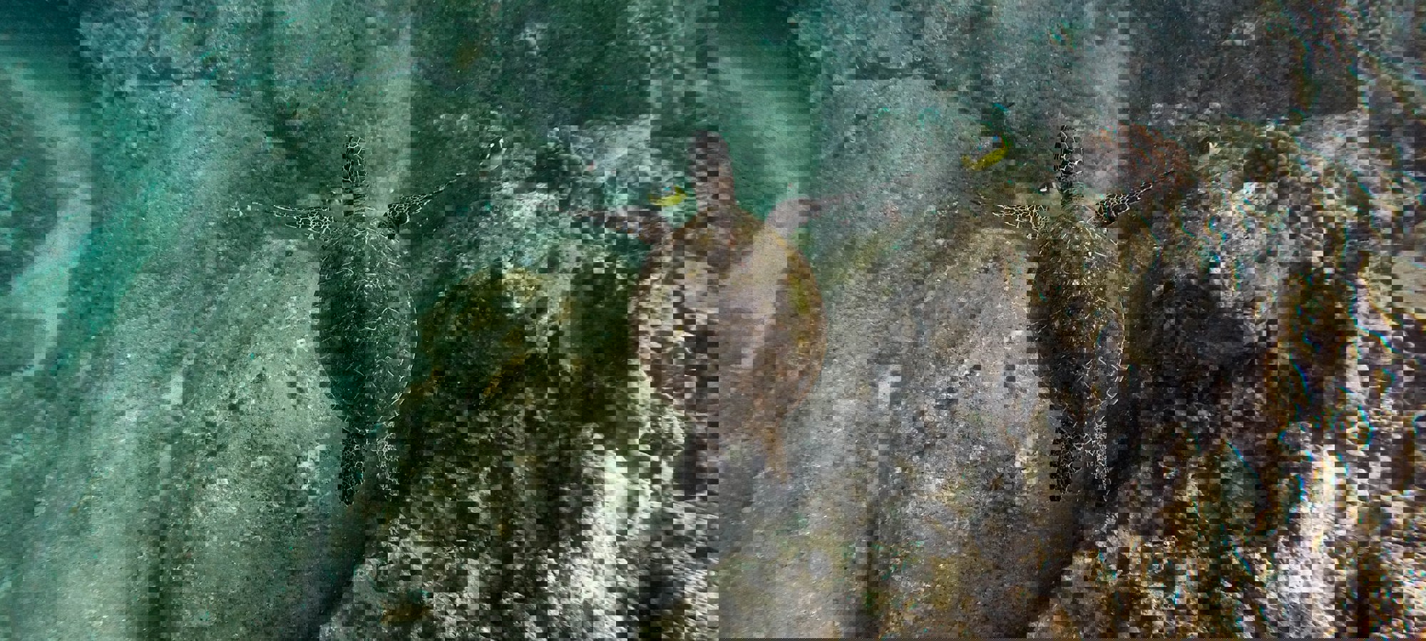 Jeremy Bishop Szsoapk4y6k Unsplash