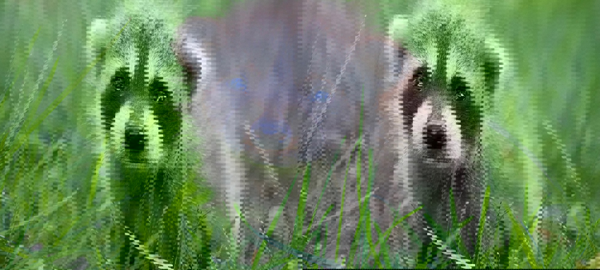 Thomas Dils 9Zez7qbpiy Unsplash (1)