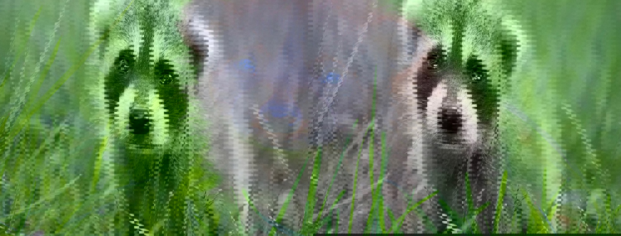 Thomas Dils 9Zez7qbpiy Unsplash (1)