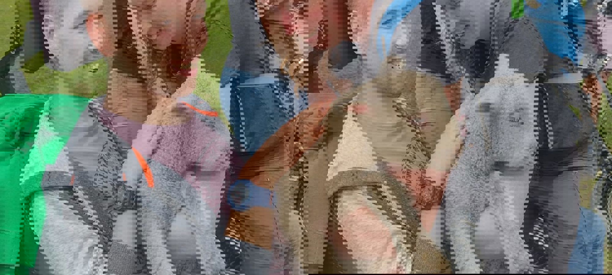 b20c44ed-3bcf-4898-b097-3f6d7b545a1b