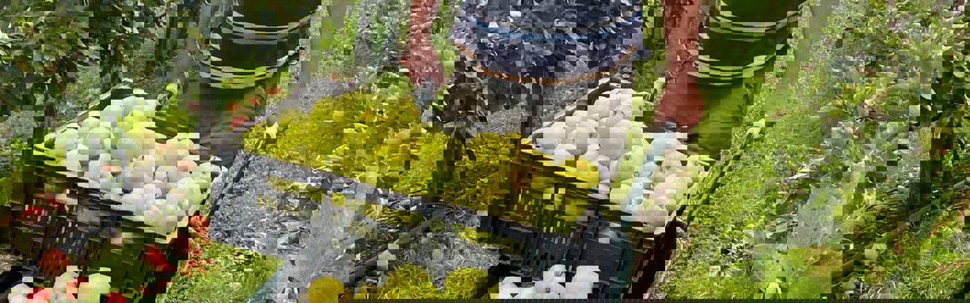 Interim vrijwilliger: HR ondersteuning