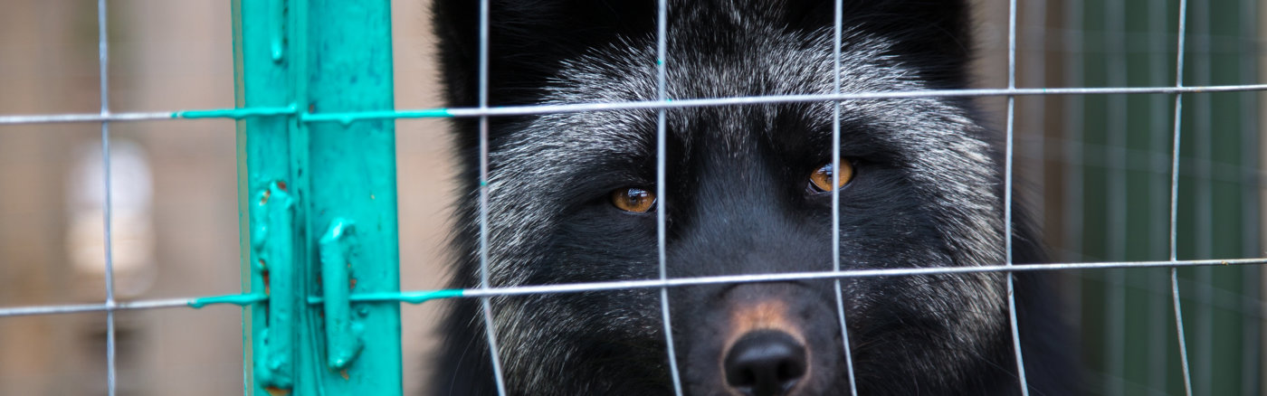 Copywriting ondersteuning crowdfunding