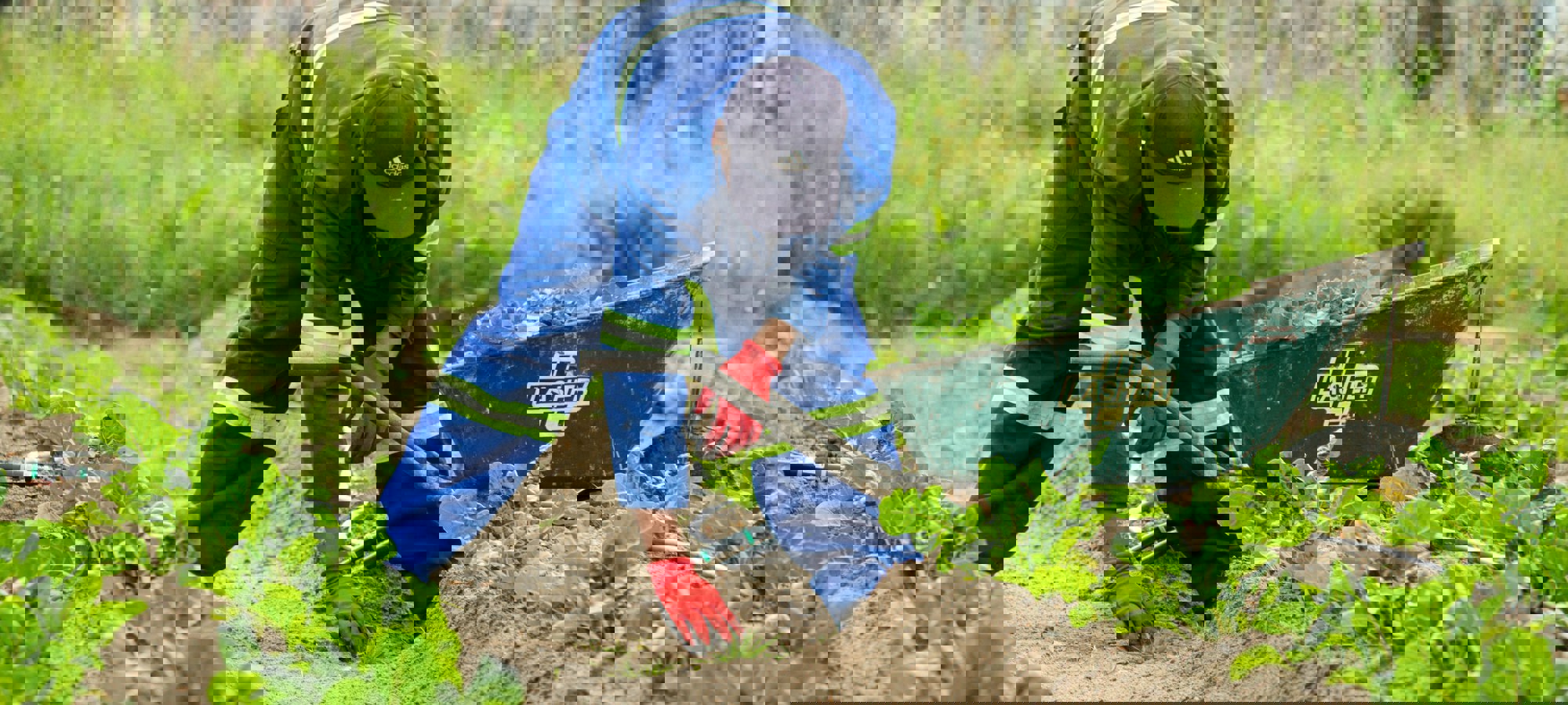 Anaya Katlego Cxkk4zu7ane Unsplash