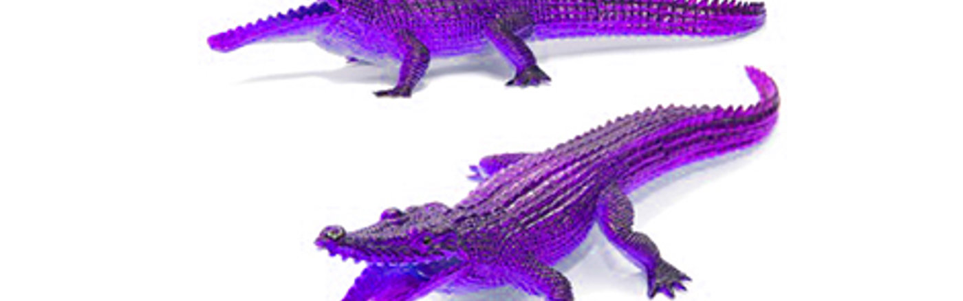 3 Workshops social media strategie