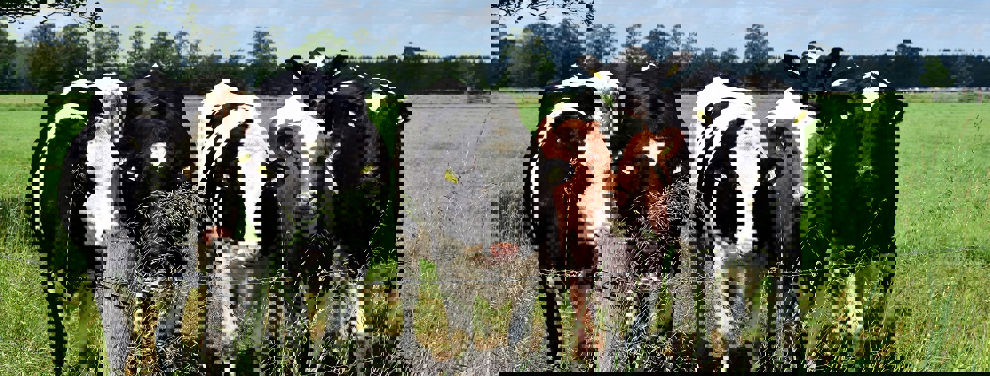 Ries Bosch J6ilz3at4r0 Unsplash