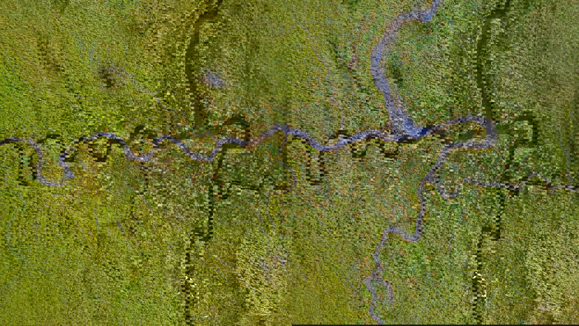 Vereniging Worldconnecters