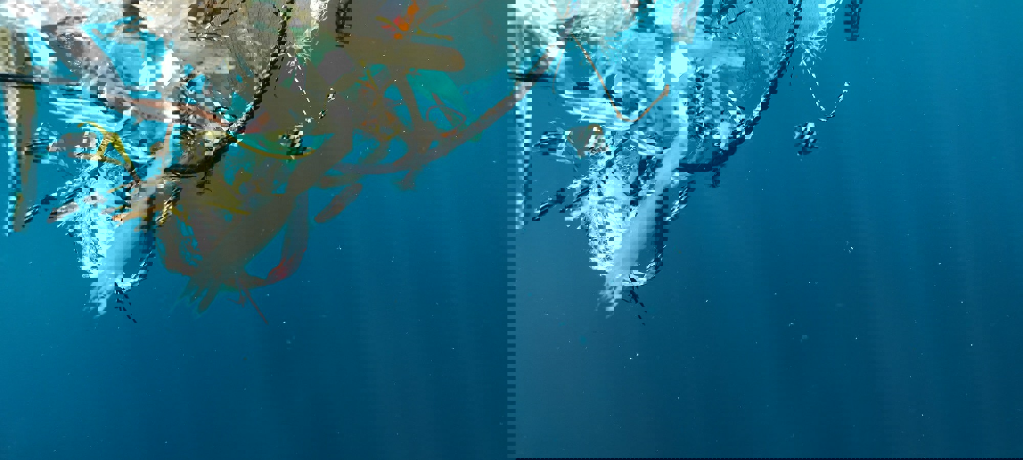 Naja Bertolt Jensen 2St3s36gu7w Unsplash