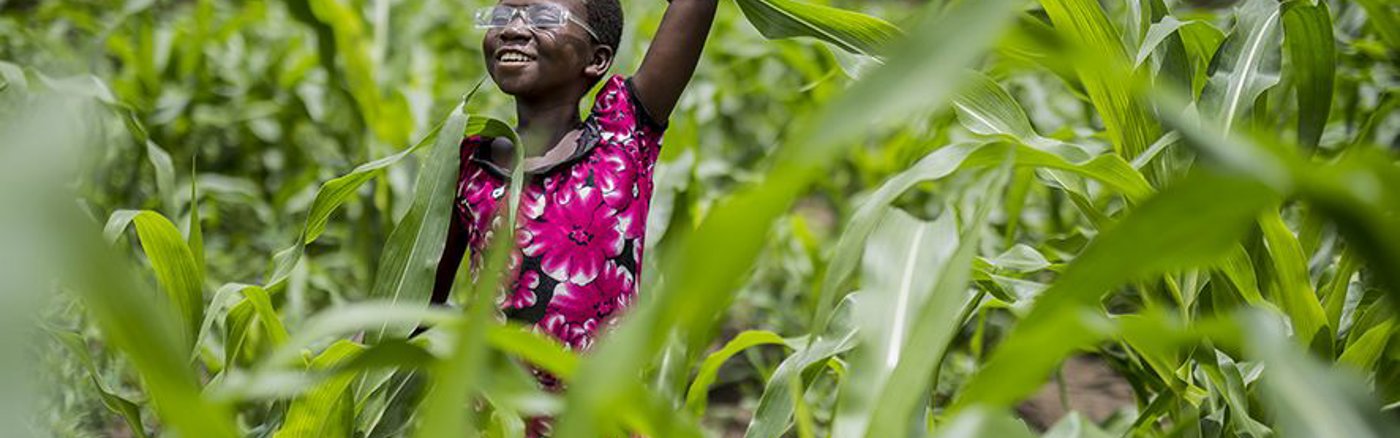 2 Google Grants campagnes optimaliseren