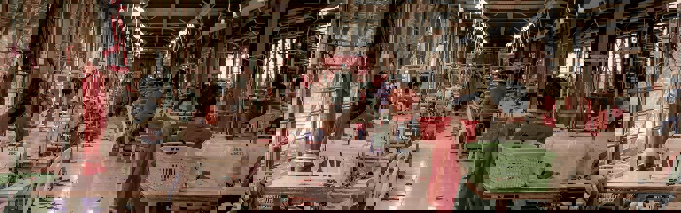 Huisstijl vernieuwing