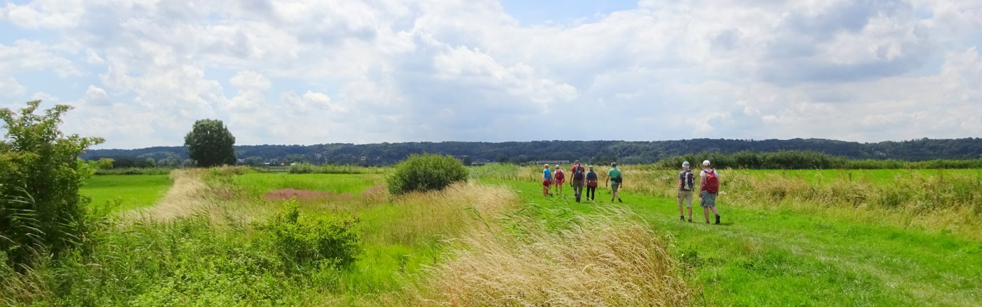 Strategisch advies over Marketing