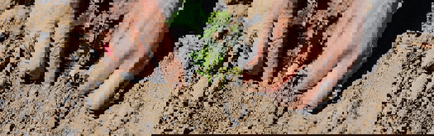 Website design update met content