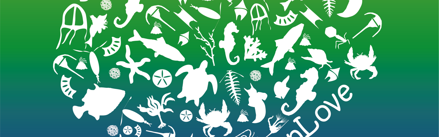 Adverteren in Google