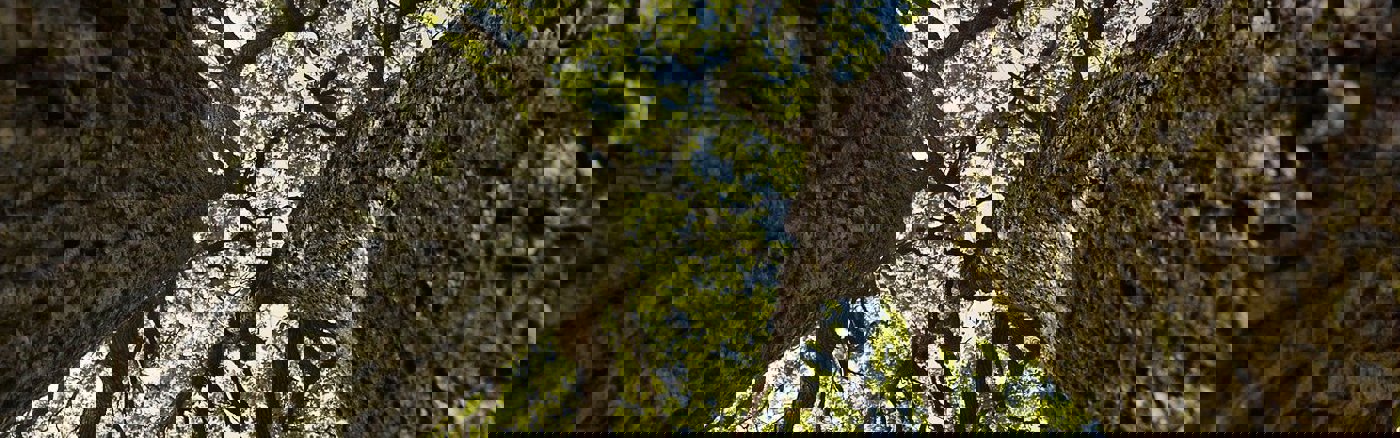 Interim vrijwilliger: Bestuurssecretaris