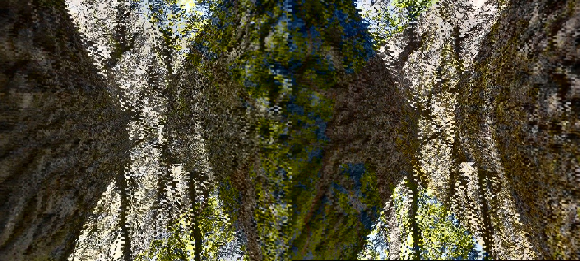 eb6a4470-494b-472b-b484-73f36ea15107