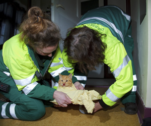 Dierenambulance Amsterdam