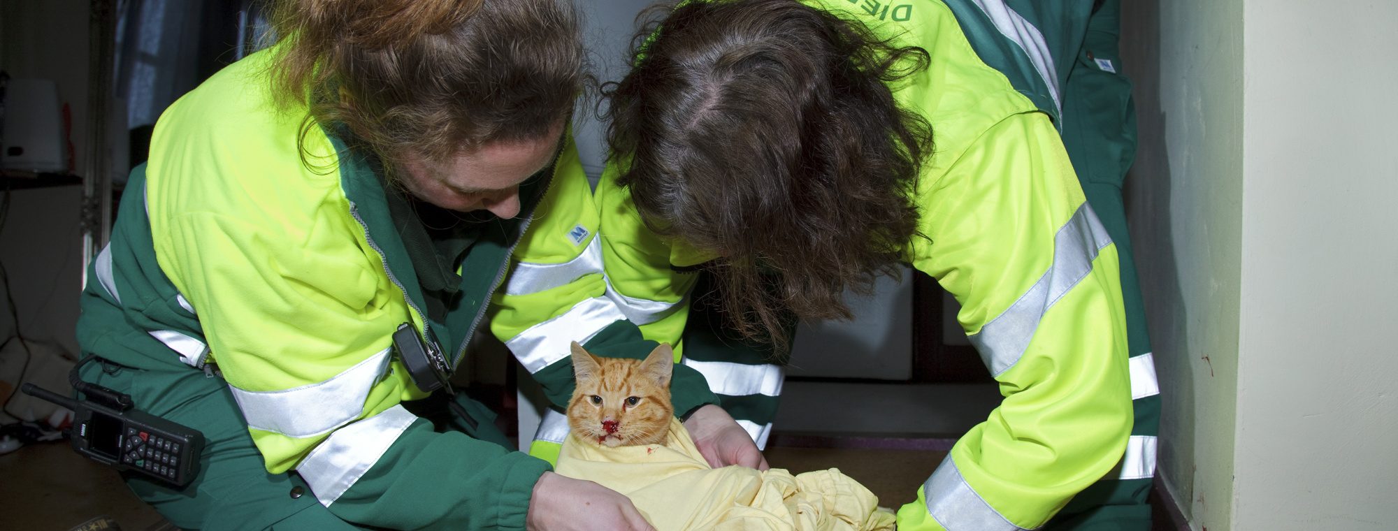 Dierenambulance Amsterdam