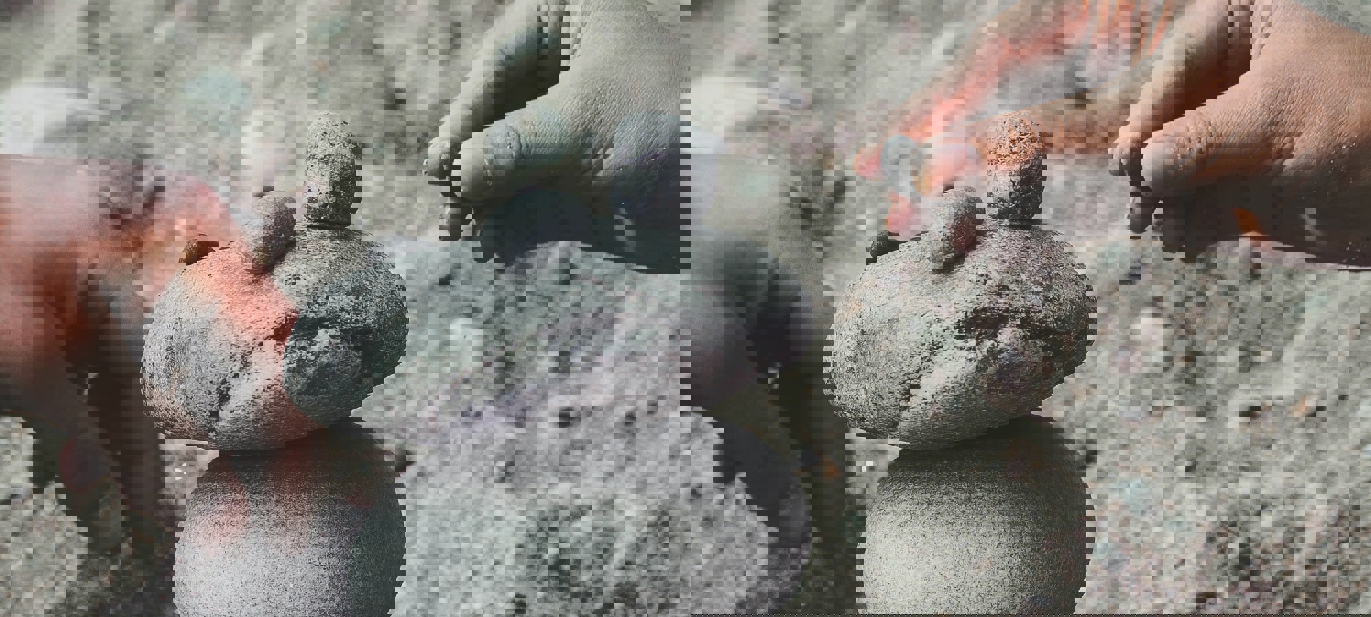Andrik Langfield Ujx Kiiujrg Unsplash