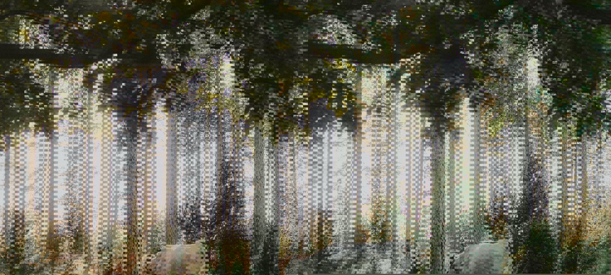 5a535d9d-a8a4-45b7-b46f-16a70271c87f