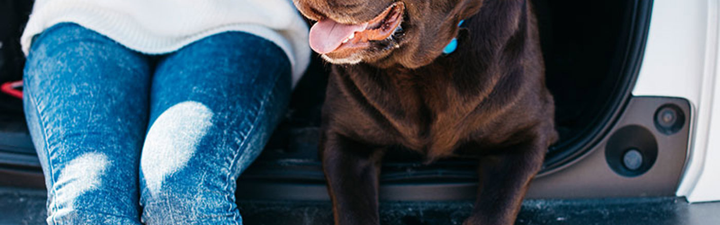 Kennissessie Intern communiceren