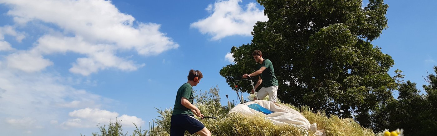 Interim vrijwilliger: Fb & Insta Ads